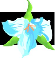 Na06658.GIF