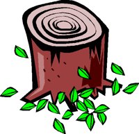 Na06203.GIF