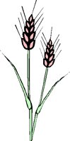 Fd06623.GIF