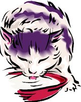 An09878.GIF