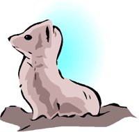 An09588.GIF