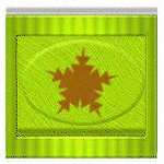 sf2i6217.gif