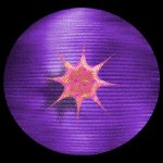 sf2i1114.gif