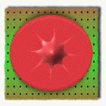 SFIC4993.GIF