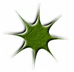 SF2I8227.gif