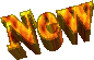 WORD010.GIF
