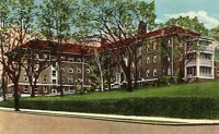 703294.jpg
