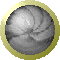 sph2653.gif