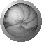 sph2652.gif