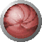 sph2630.gif