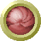 sph2629.gif