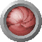 sph2628.gif