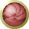 sph2627.gif