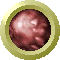 SPH2105.GIF