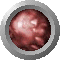 SPH2104.GIF