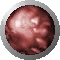SPH2102.GIF
