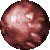 SPH2101.GIF
