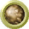 SPH2079.GIF