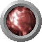 SPH1499.GIF