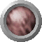 SPH1079.GIF