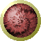 SPH0929.GIF