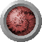 SPH0928.GIF
