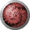 SPH0927.GIF