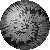 SPH0851.GIF