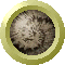 SPH0830.GIF