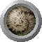 SPH0829.GIF
