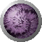 SPH0605.GIF