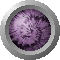 SPH0604.GIF