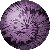 SPH0601.GIF
