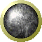 SPH0527.GIF