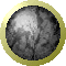 SPH0379.GIF