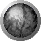 SPH0378.GIF