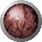 SPH0278.GIF