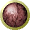 SPH0277.GIF