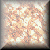 TXBUT48.GIF