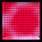 SF2S5571.GIF