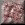 Let07_.gif
