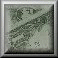 CASH23.GIF
