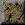 BLT364.GIF