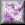 BLT069.GIF