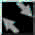 BLT00002.GIF