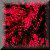 BLNK149.GIF