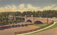 703429.jpg