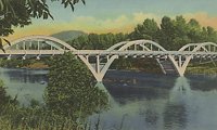 703363.jpg
