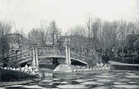 003523.jpg
