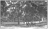 003720.jpg